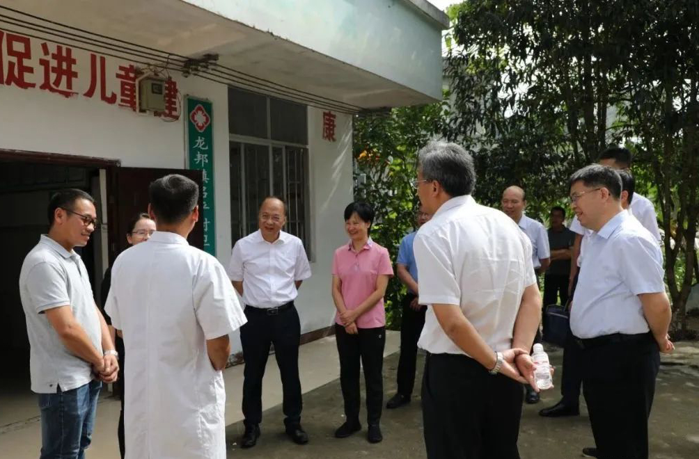 广西靖西：自治区调研组莅临靖西调研，数字赋能基层“提质增效”成效显著